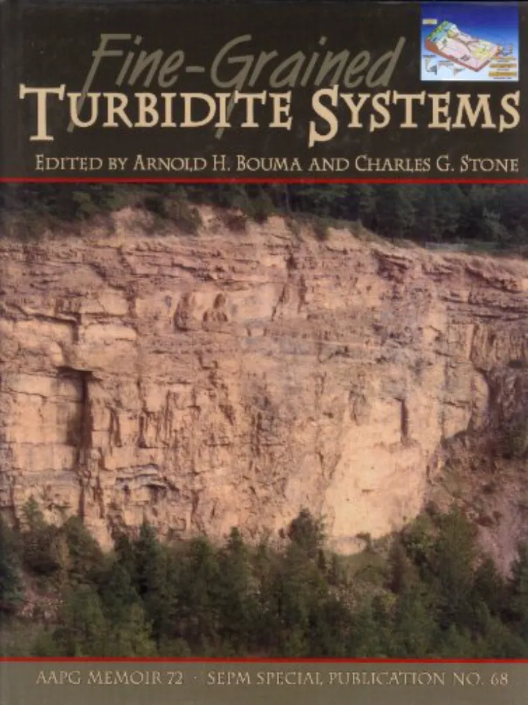 Fine-Grained Turbidite Systems