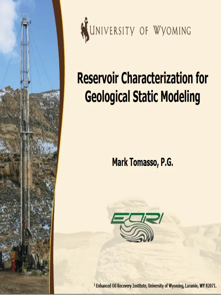 Reservoir Characterization for Geological Static Modeling